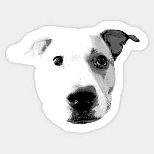 Pitbull Love Shirt Sticker